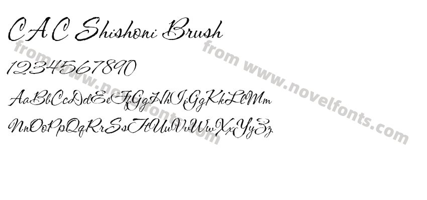 CAC Shishoni BrushPreview