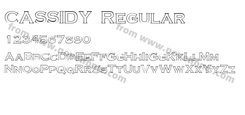 CASSIDY RegularPreview