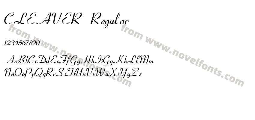 CLEAVER RegularPreview
