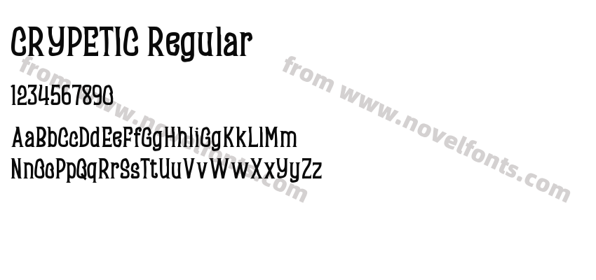CRYPETIC RegularPreview