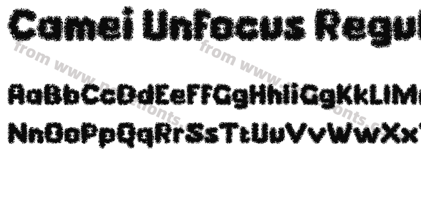 Camei Unfocus RegularPreview
