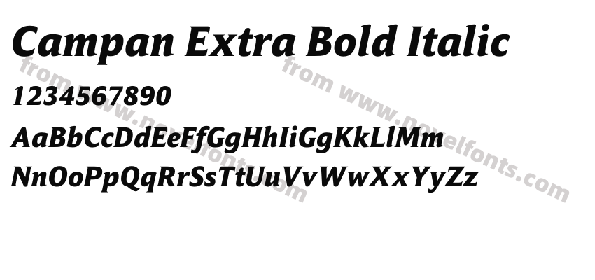 Campan Extra Bold ItalicPreview