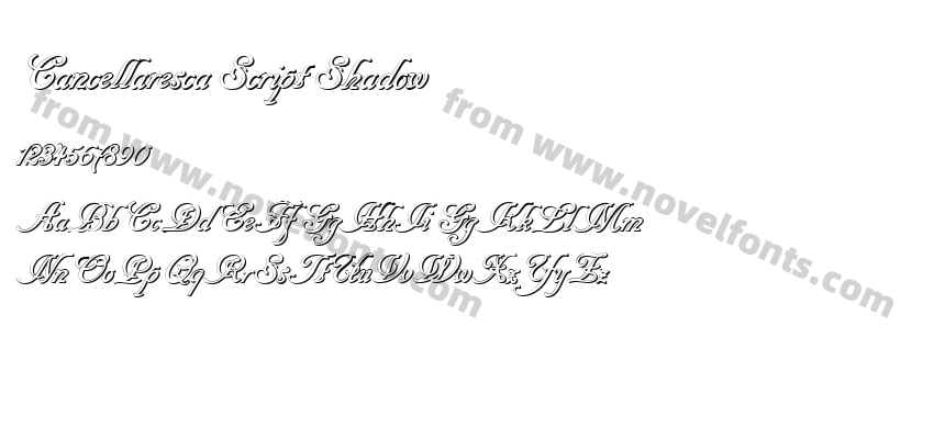 Cancellaresca Script ShadowPreview