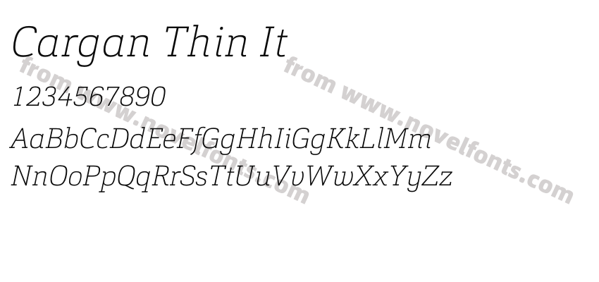 Cargan Thin ItPreview