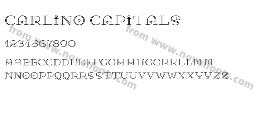 Carlino CapitalsPreview