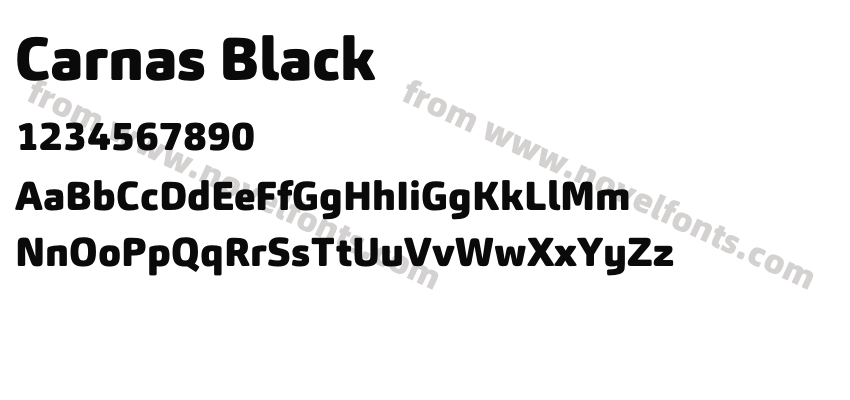 Carnas BlackPreview