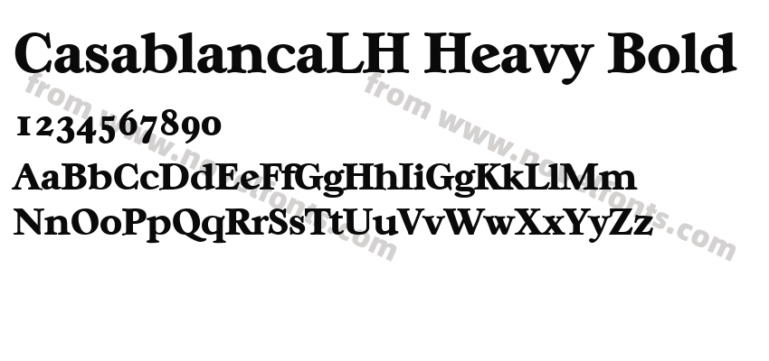 CasablancaLH Heavy BoldPreview