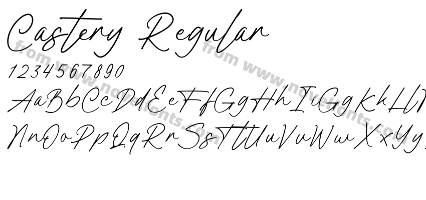 Castery RegularPreview