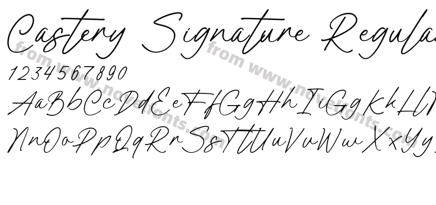 Castery Signature RegularPreview