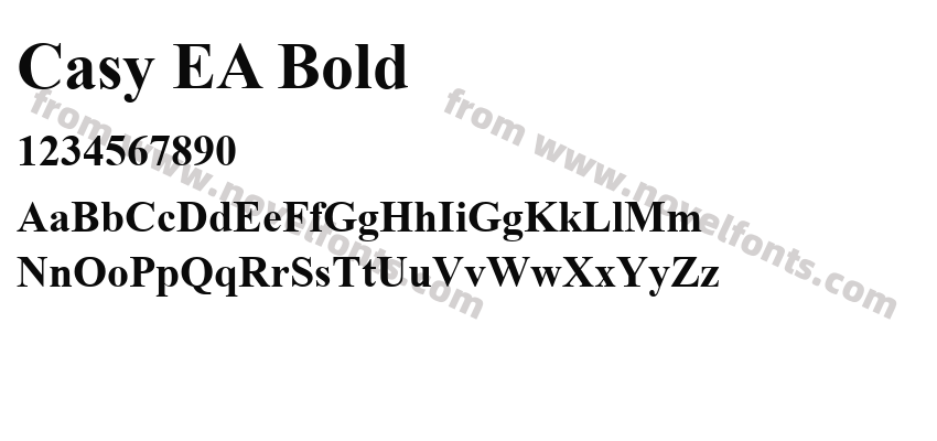 Casy EA BoldPreview