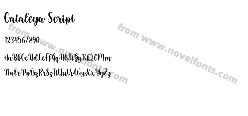 Cataleya ScriptPreview