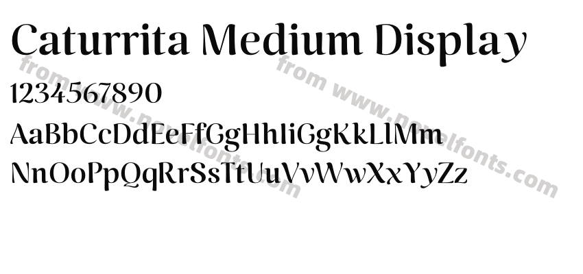 Caturrita Medium DisplayPreview