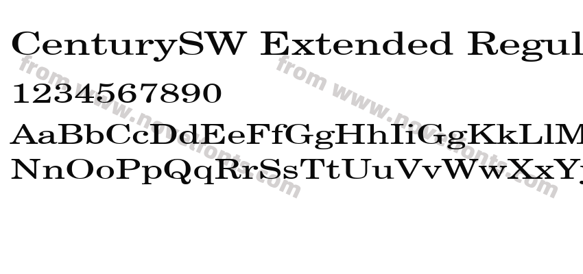 CenturySW Extended RegularSWFTEPreview