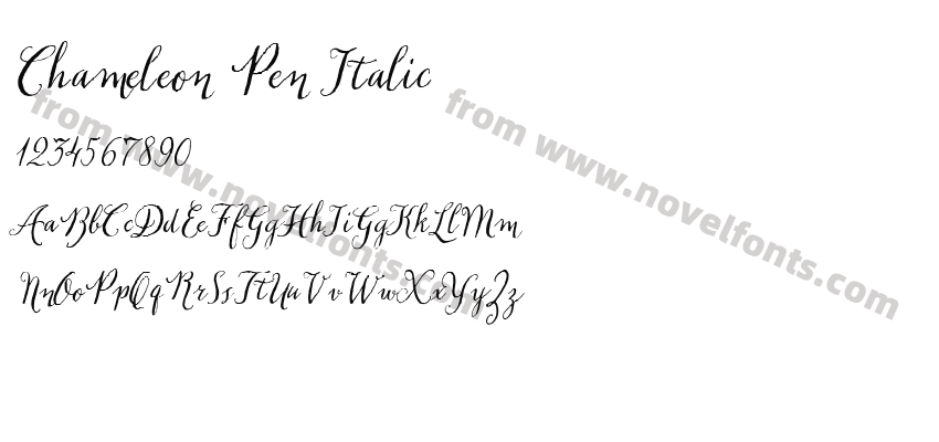 Chameleon Pen ItalicPreview