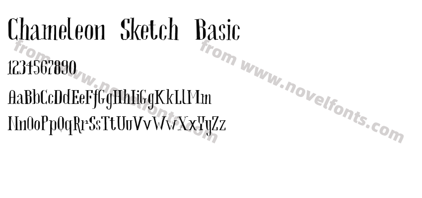 Chameleon Sketch BasicPreview