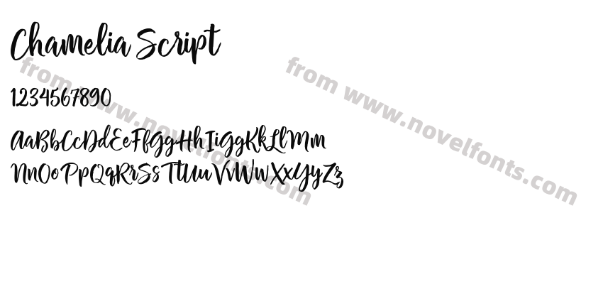 Chamelia ScriptPreview