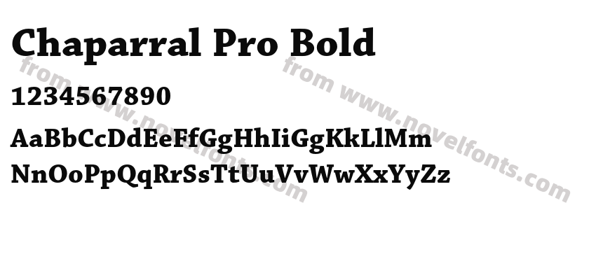 Chaparral Pro BoldPreview