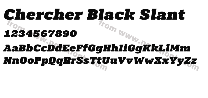 Chercher Black SlantPreview