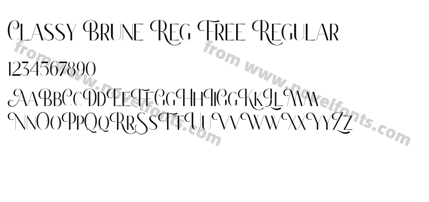 Classy Brune Reg Free RegularPreview