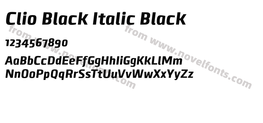 Clio Black Italic BlackPreview