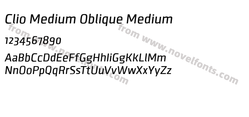 Clio Medium Oblique MediumPreview