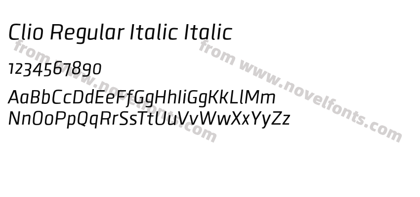 Clio Regular Italic ItalicPreview