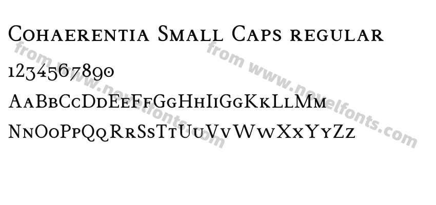Cohaerentia Small Caps regularPreview