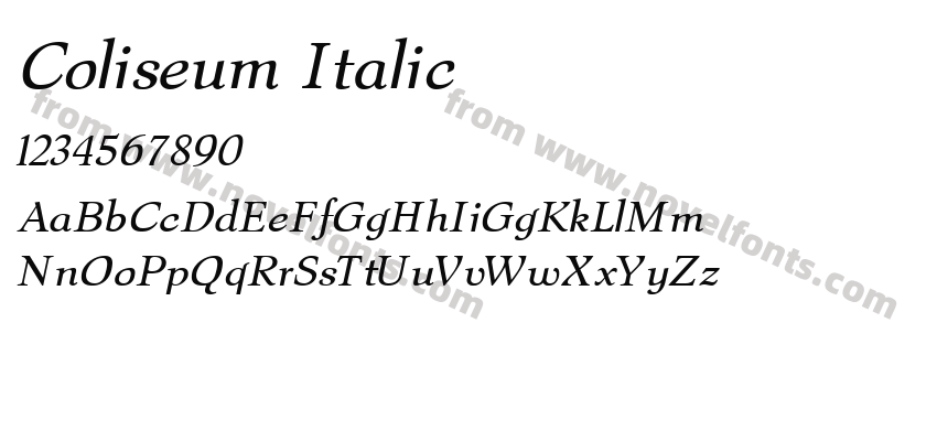 Coliseum ItalicPreview
