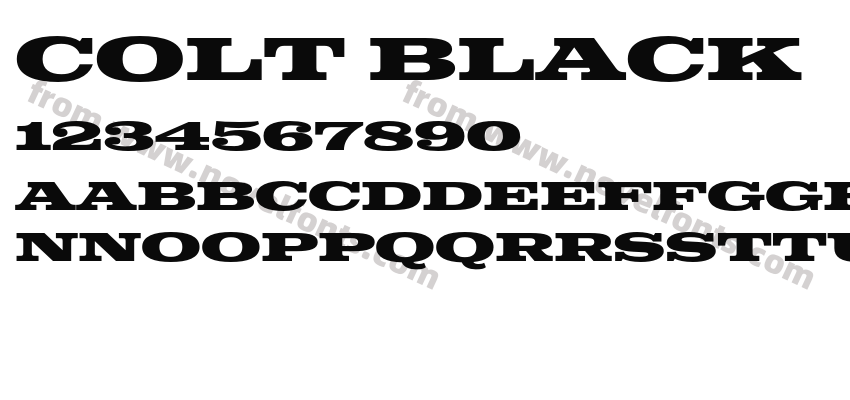 Colt BlackPreview
