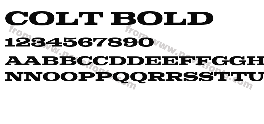 Colt BoldPreview