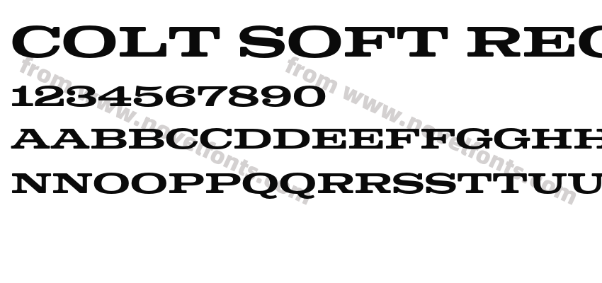 Colt Soft Regular3Preview