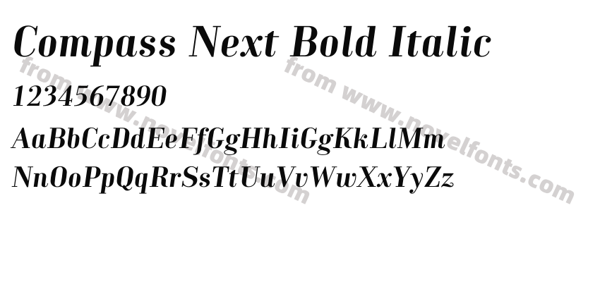 Compass Next Bold ItalicPreview