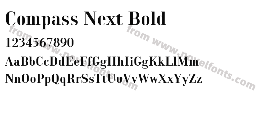 Compass Next BoldPreview