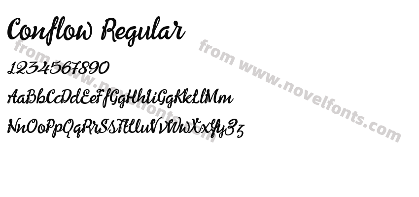 Conflow RegularPreview