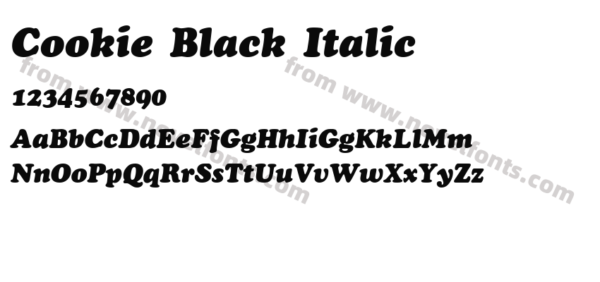 Cookie Black ItalicPreview