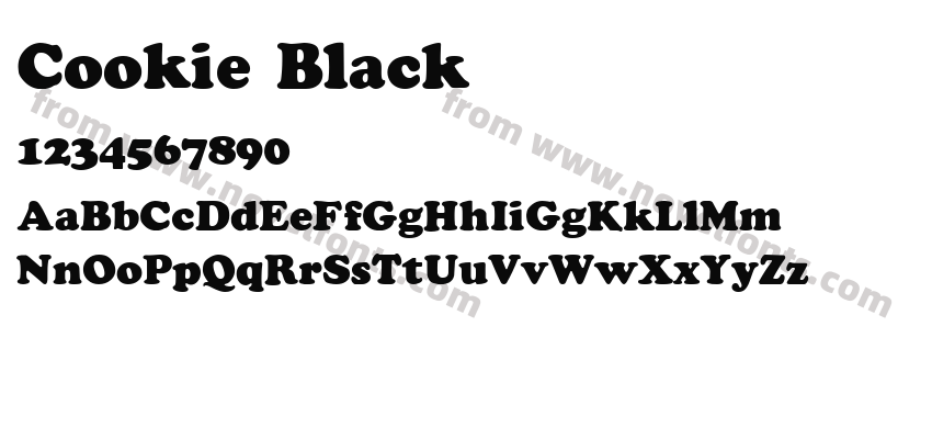 Cookie BlackPreview