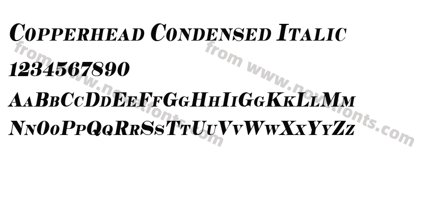 Copperhead Condensed ItalicPreview