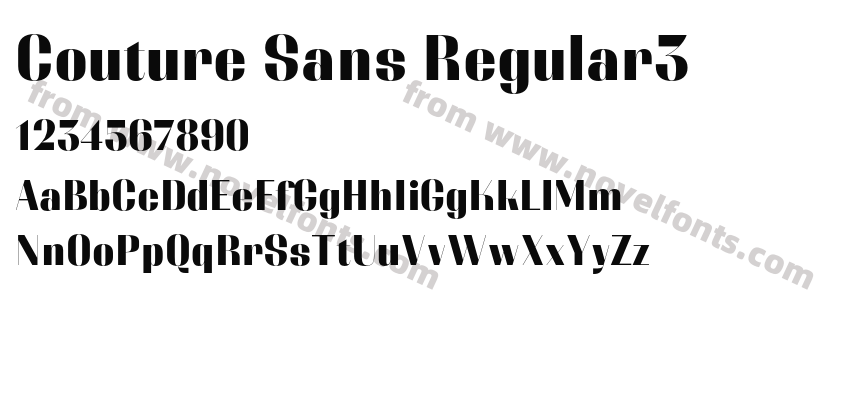Couture Sans Regular3Preview