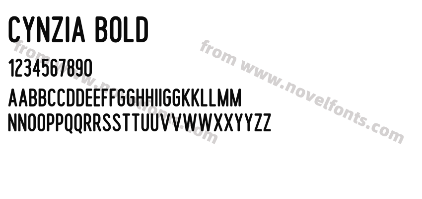 Cynzia BoldPreview