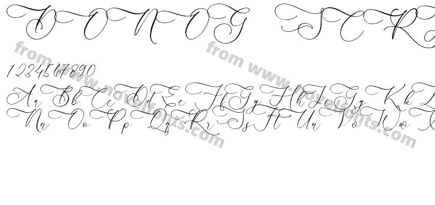 DONOG SCRIPTPreview