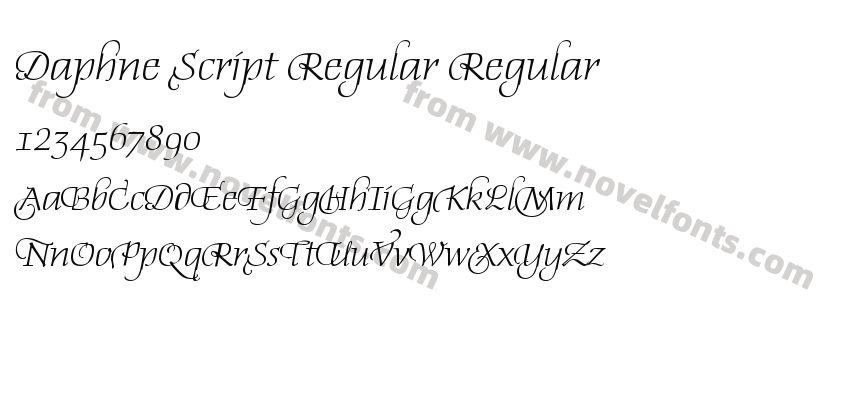 Daphne Script Regular RegularPreview