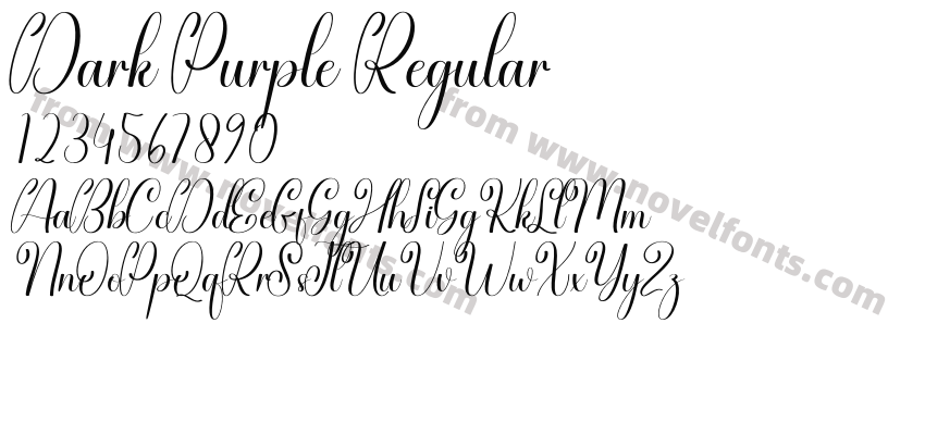Dark Purple RegularPreview