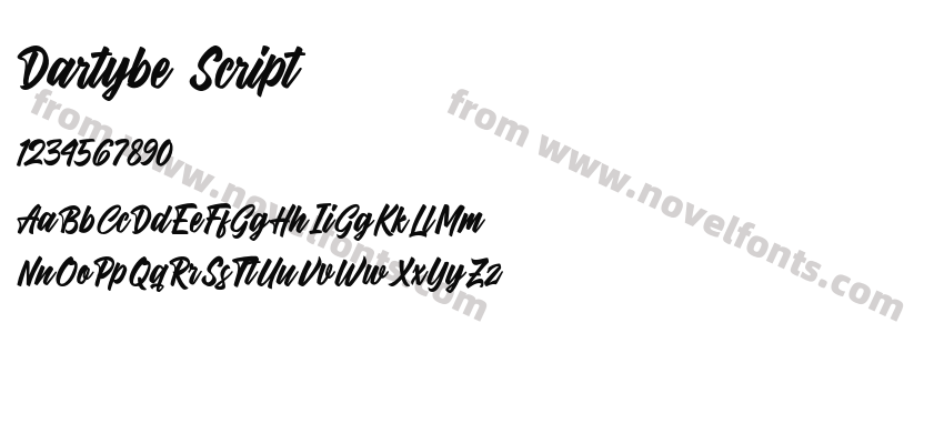 Dartybe ScriptPreview