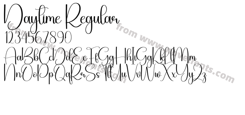 Daytime RegularPreview