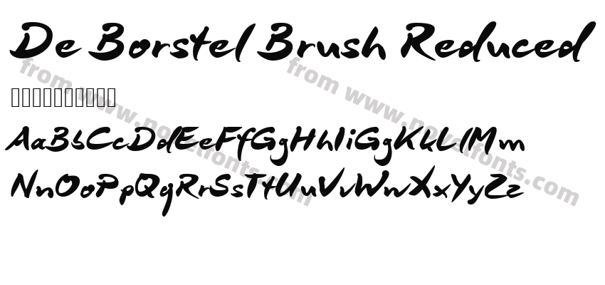 De Borstel Brush ReducedPreview