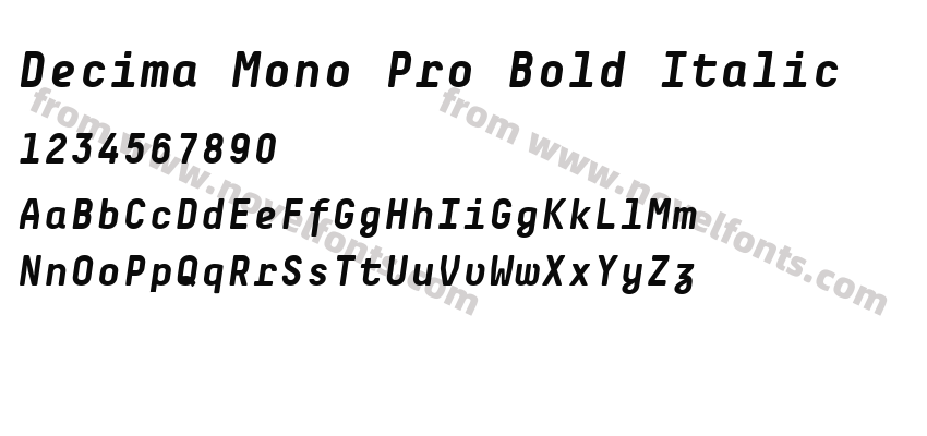 Decima Mono Pro Bold ItalicPreview