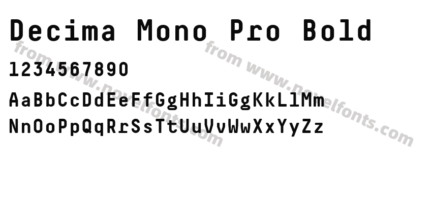 Decima Mono Pro BoldPreview