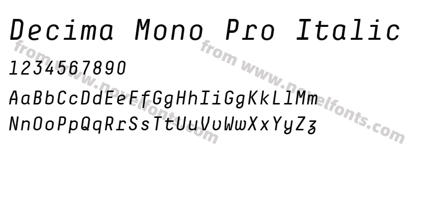 Decima Mono Pro ItalicPreview