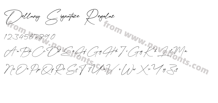 Dellany Signature RegularPreview