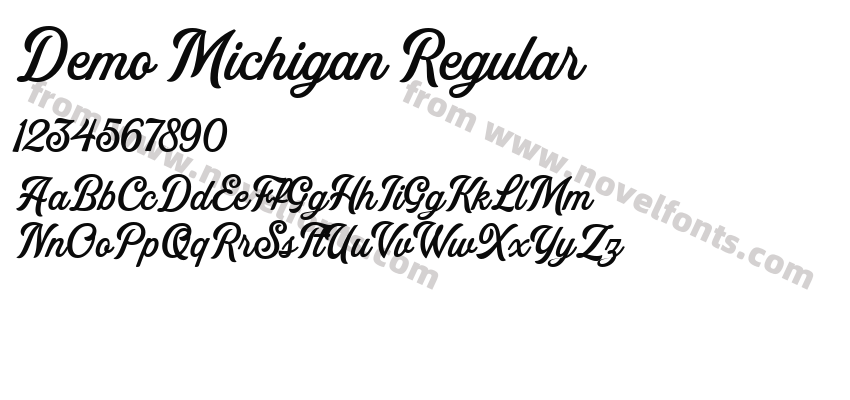 Demo Michigan RegularPreview